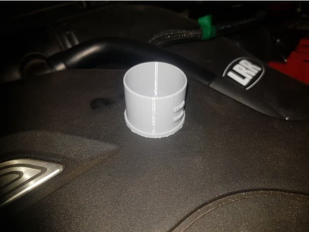Fiesta ST Symposer hose plug - image