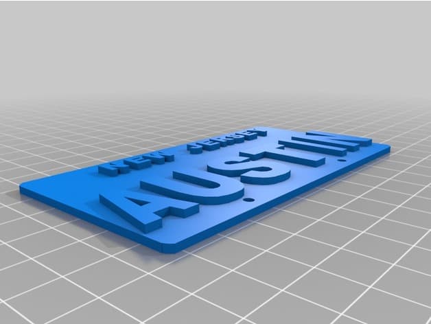 Photo of Austins License Plate