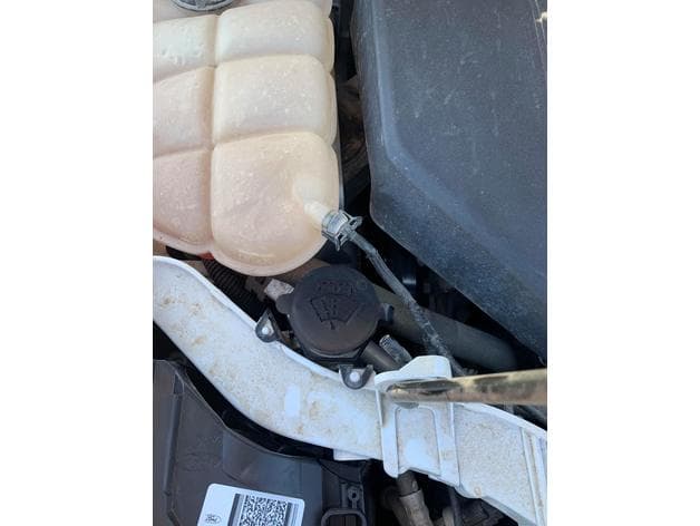 Ford Focus windshield washer fluid cap - image